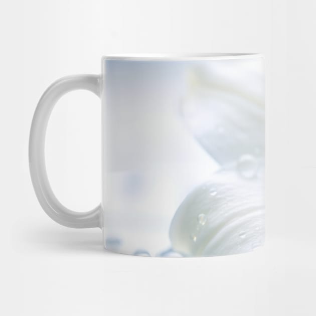 Lilium Flower Petal Nature Serene Calm by Cubebox